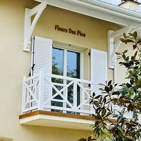 Fleurs Des Pins, Piscine Chauffee , 80 M De La Pereire