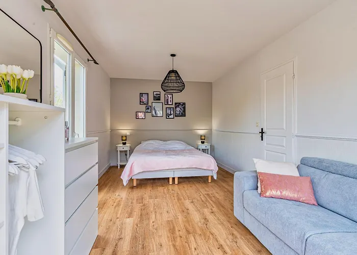 Villa Fleurs Des Pins, Piscine Chauffee , 80 M De La Pereire *