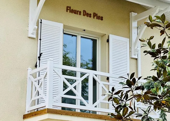 Fleurs Des Pins, Piscine Chauffee , 80 M De La Pereire